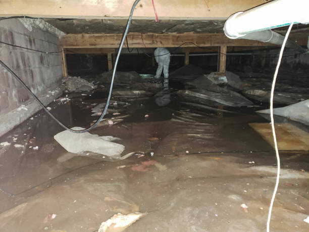 Trusted Water Damage Restoration in Greensboro, MD | Fast, Reliable, and Ready to Assist You